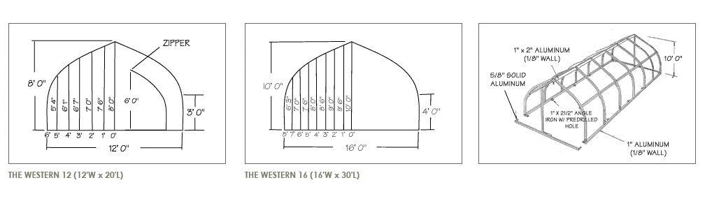 western7